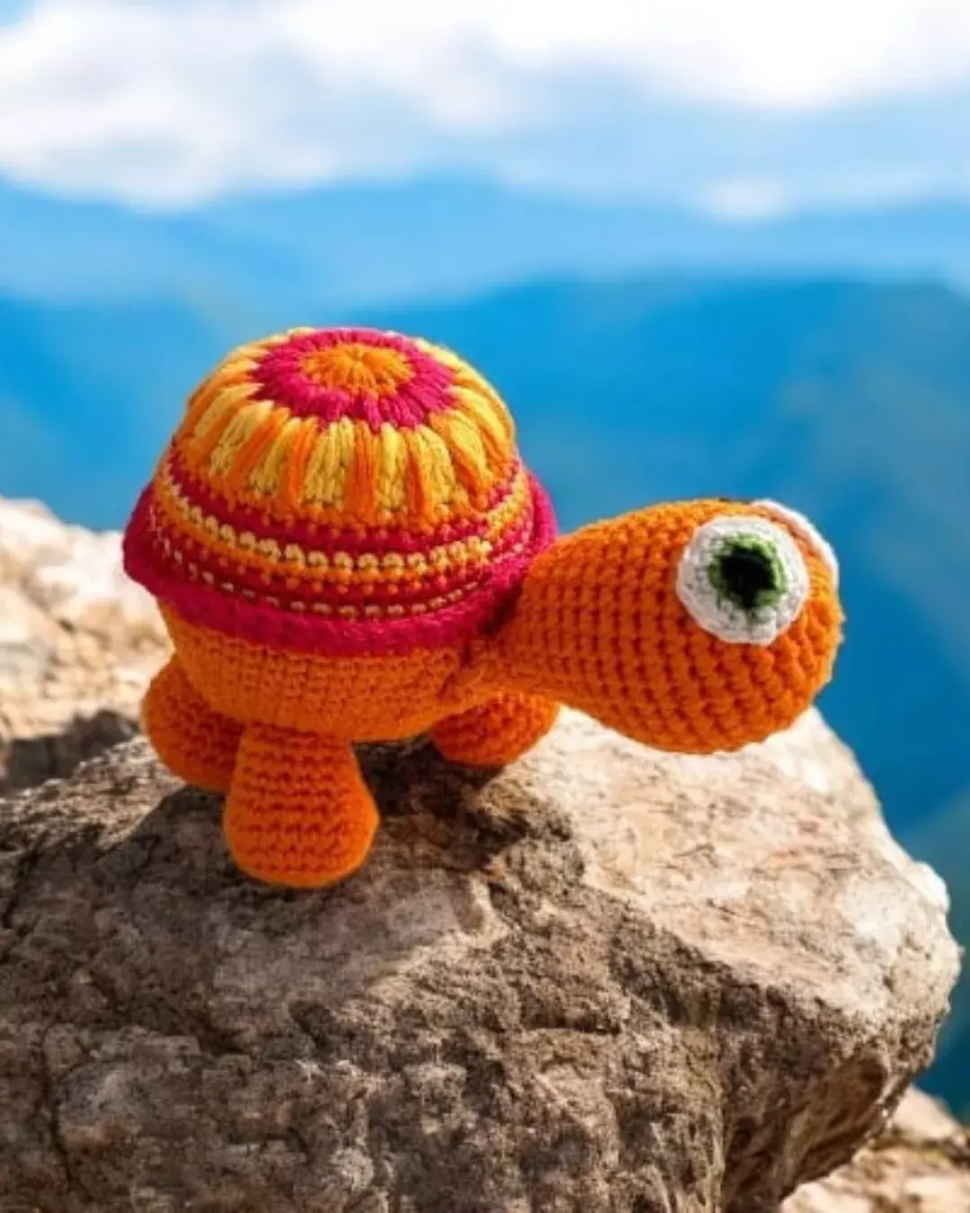 Why Should All the Turtles Look the Same?